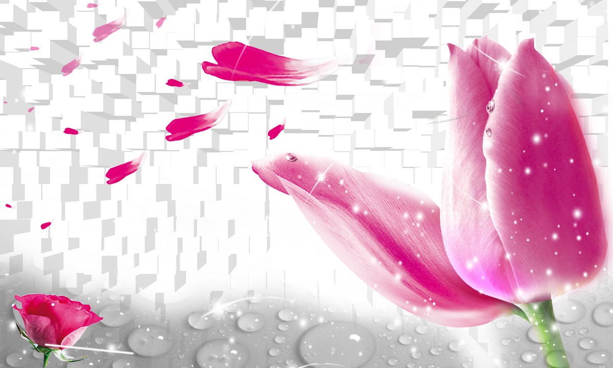 Фреска Чудеса вселенной